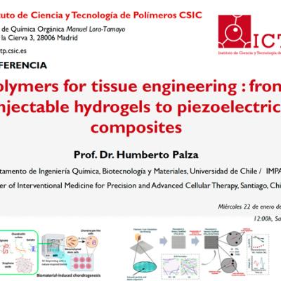 Polymers for tissue engineering : from injectable hydrogels to piezoelectric composites