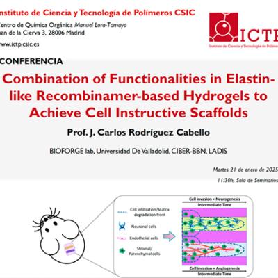 Combination of Functionalities in Elastin like Recombinamer based Hydrogels to Achieve Cell Instructive Scaffolds