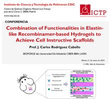 Combination of Functionalities in Elastin like Recombinamer based Hydrogels to Achieve Cell Instructive Scaffolds
