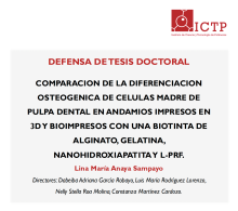 Defensa Tesis Doctoral